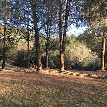 Foxtail Farm Bed & Breakfast Ponderosa Basin ภายนอก รูปภาพ
